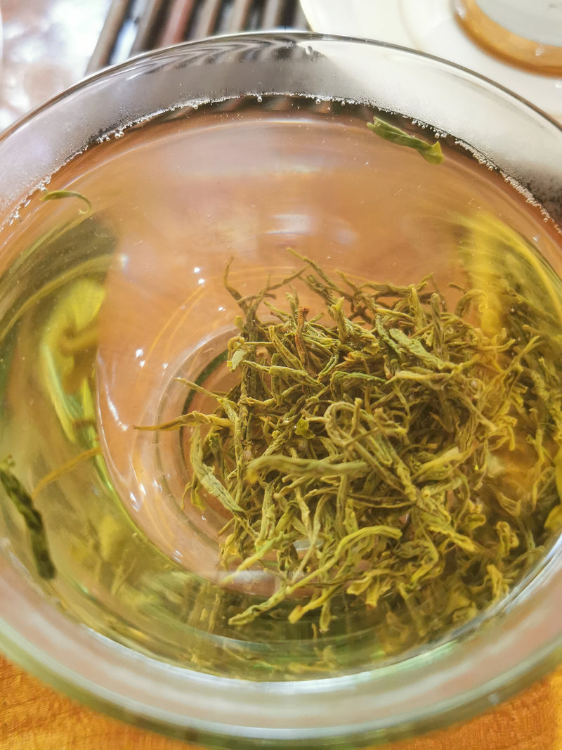 Guizhou 600 year old wild green tea (only 5 trees) 25g
