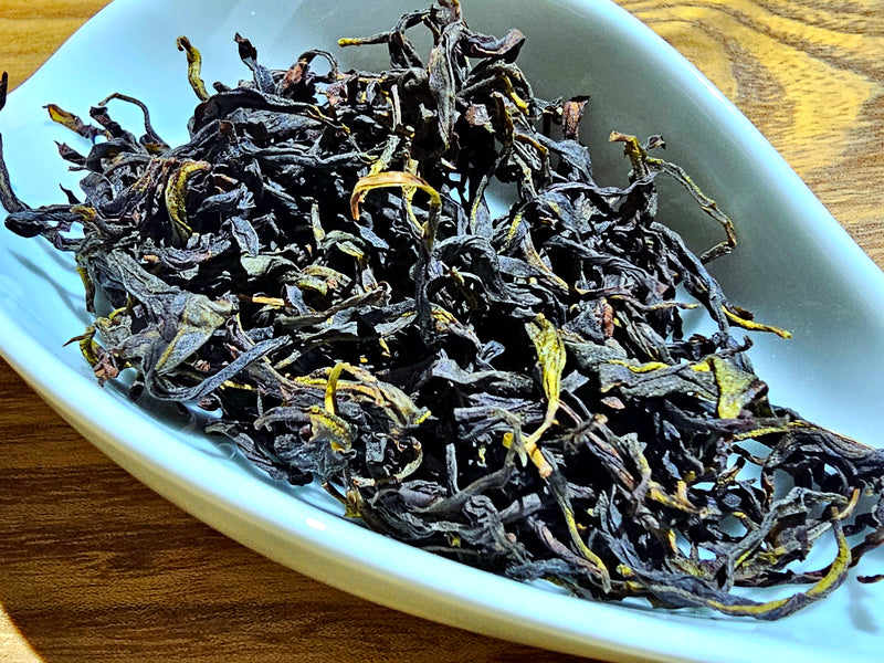 (Send From USA) 2025 Oncidium  Fragrance Phoenix Mountain  Oolong Tea