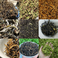 Monthly Tea Samples