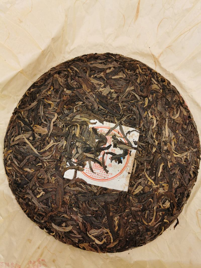 Lao Ban Zhang 老班章生普 700-800 Year Old Tree Spring Pick Raw Puer 2009 Harvest