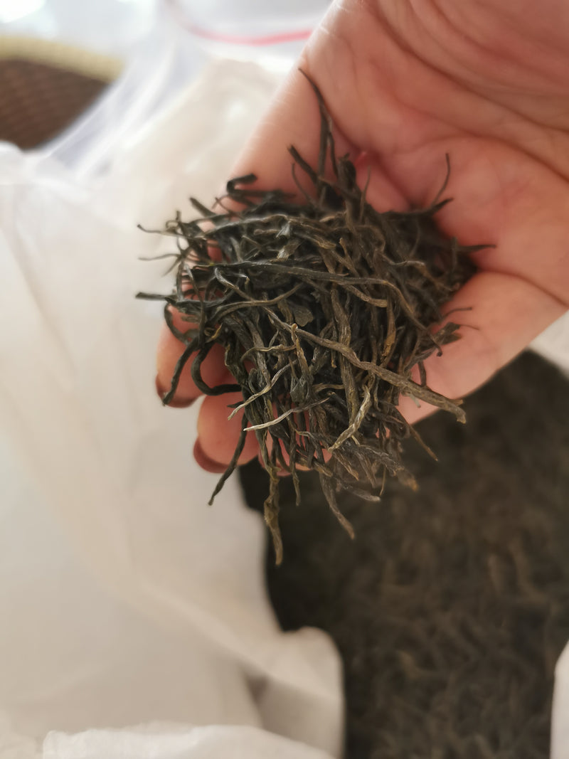 Guizhou 600 year old wild green tea (only 5 trees) 25g
