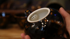 Turtle's Shell Color Eggplant Shape Tea Pot茄段壶