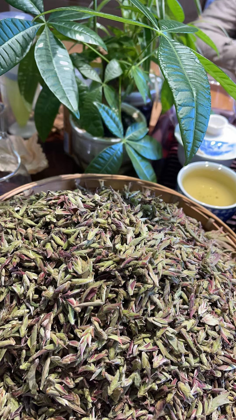 Big Snow Mountain Wild Purple Tea Buds (Da Xue Shan Ye Sheng Zi Ya Bao大雪山野生紫芽苞)