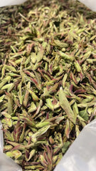 Big Snow Mountain Wild Purple Tea Buds (Da Xue Shan Ye Sheng Zi Ya Bao大雪山野生紫芽苞)