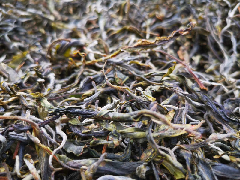 Lao Ban Zhang 老班章生普 700-800 Year Old Tree Spring Pick Raw Puer 2009 Harvest