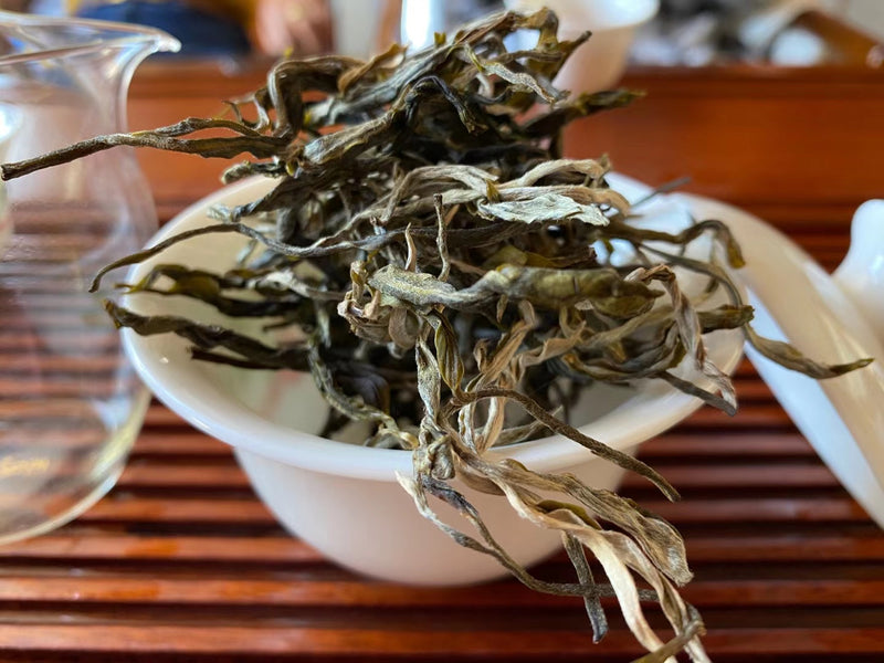 2021 Lao Ban Zhang 老班章生普 700-800 Year Old Trees Spring Pick Raw Puer. 2 different picking days